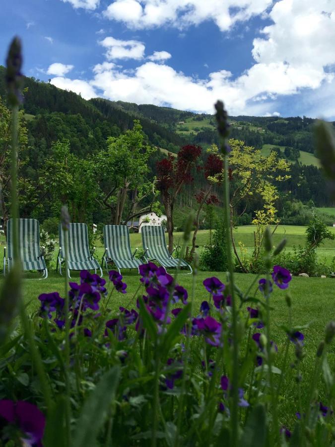 Appartements St. Leonhard Aschau Im Zillertal 外观 照片