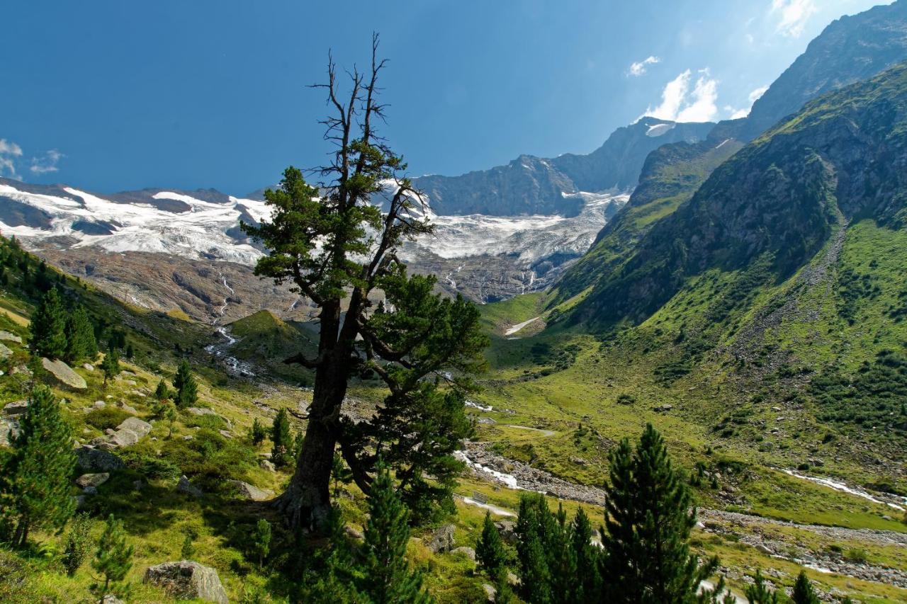 Appartements St. Leonhard Aschau Im Zillertal 外观 照片