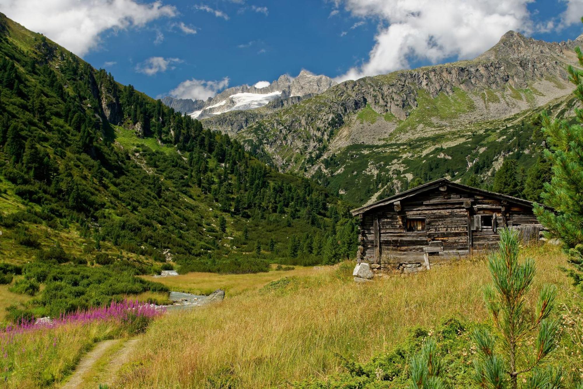 Appartements St. Leonhard Aschau Im Zillertal 外观 照片