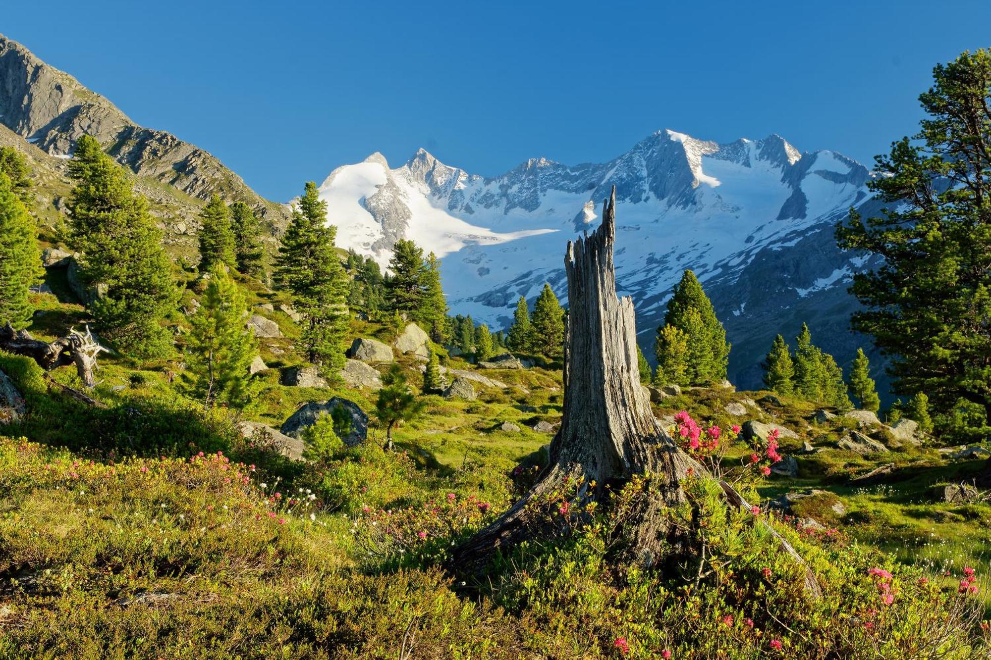 Appartements St. Leonhard Aschau Im Zillertal 外观 照片