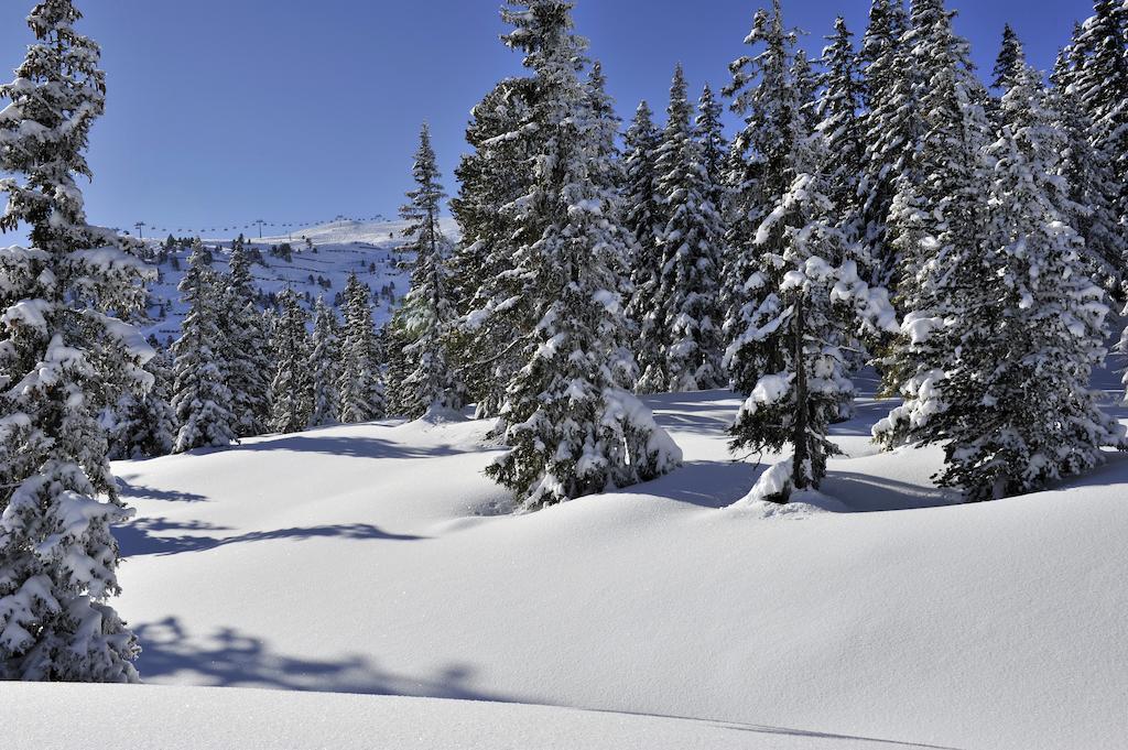 Appartements St. Leonhard Aschau Im Zillertal 外观 照片